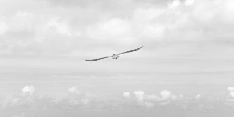 KAEUC39：一站式教育咨询、院校申请与签证辅导全攻略