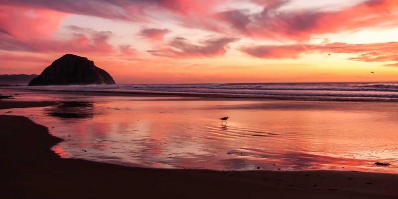 KAEUC69：解码新时代国际教育咨询的卓越范式