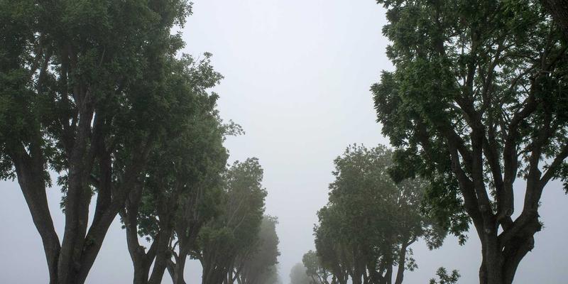 KAEUC87：解码国际教育新趋势，专业教育咨询如何赋能未来规划