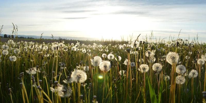 KAEUC88：专业教育咨询如何重塑您的留学规划之路