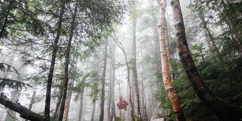 KAEUC95留学全攻略：从院校申请到签证辅导的一站式规划指南