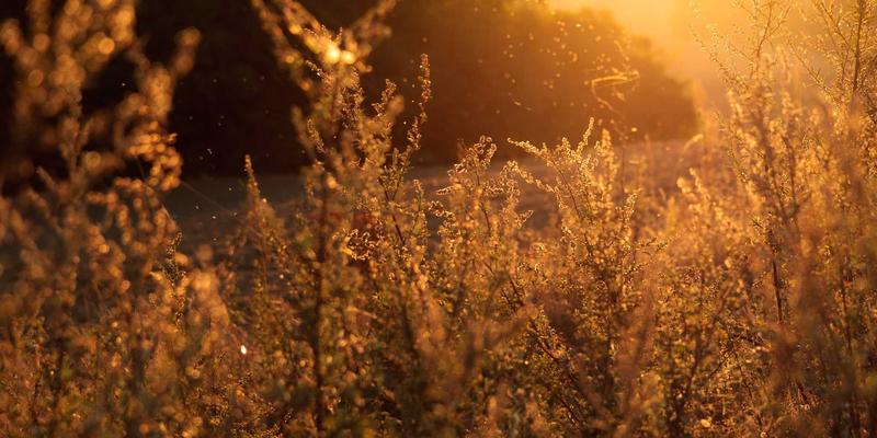 KAEUC前景解析：院校申请新趋势与教育咨询的价值赋能