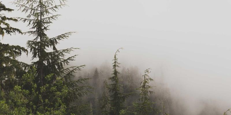 KAEUC标准如何影响电子产品设计？对院校申请、签证辅导与留学服务的深层启示