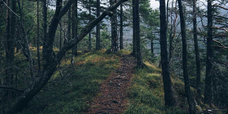 KAEUC视角下的韩国留学租房全攻略：从保证金、月租到合同避坑的院校申请后指南