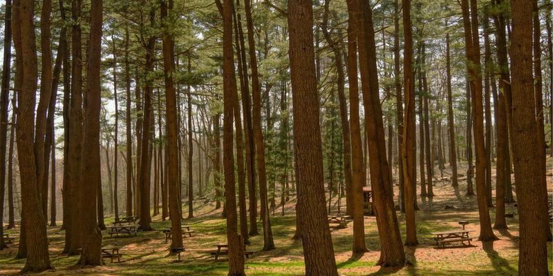 KAEUC认证流程详解与常见问题解答：您的签证辅导与教育咨询指南