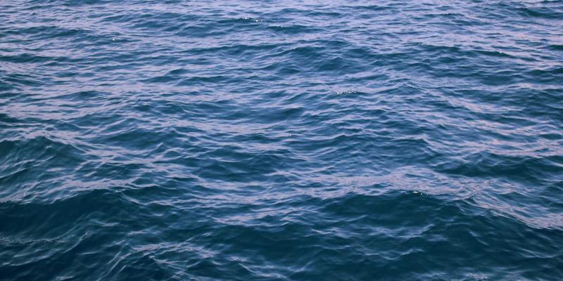 KAEUC认证院校毕业生就业数据深度解析：国际教育如何赋能职业发展