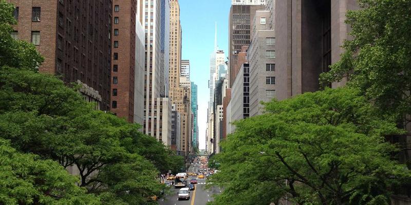 KAEUC认证：韩国留学权益的守护者——解析院校申请与留学服务的支持体系