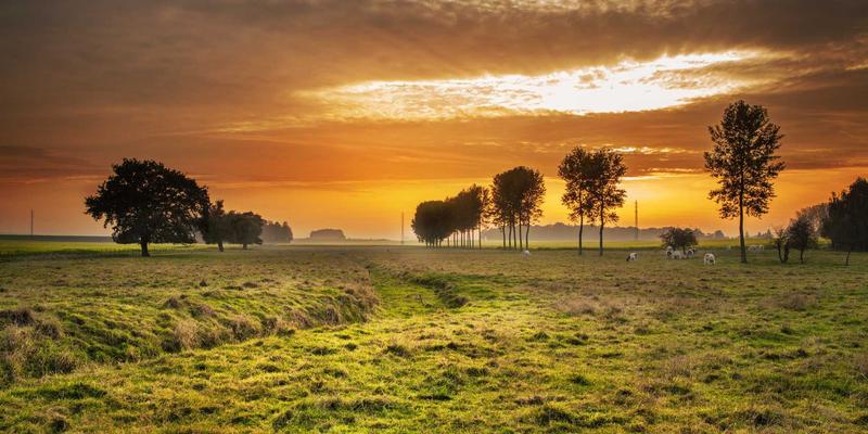 KAEUC认证顾问：如何通过专业资质与持续培训体系，成就您的签证辅导与院校申请之路