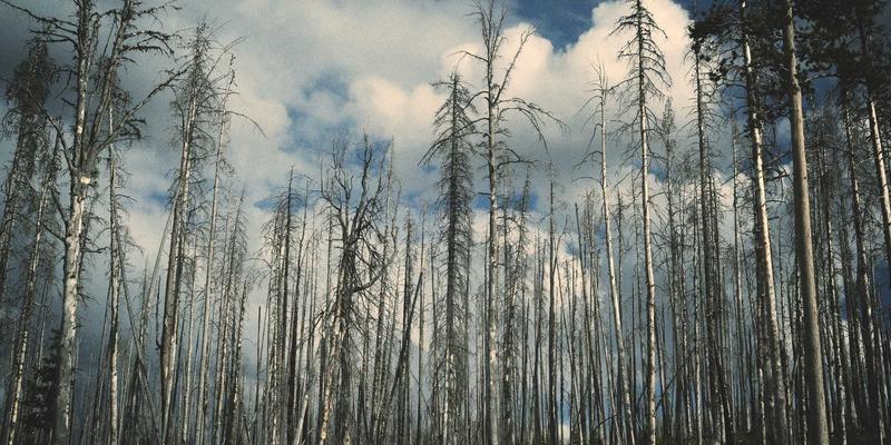 专业解读：KAEUC认证机构如何审核韩国大学院留学申请材料