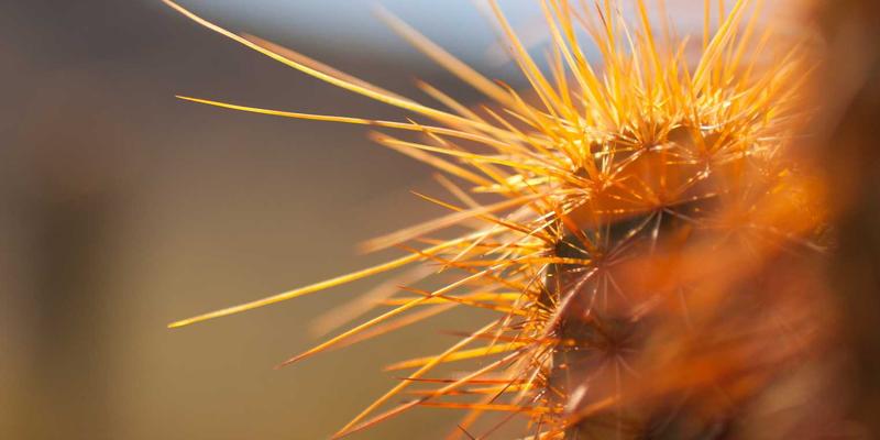 从KAEUC数据解码韩国留学：热门专业变迁、签证辅导与院校申请策略