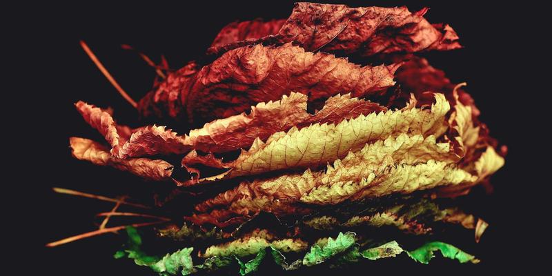 依托KAEUC认证服务，高效攻克韩国大学院面试与教授套磁全攻略