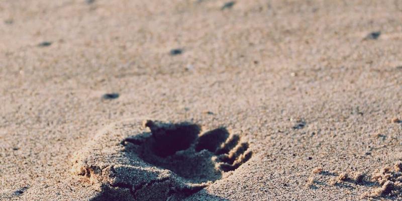 艺术留学新航标：KAEUC认证下的韩国顶尖艺术院校申请与留学规划全解析