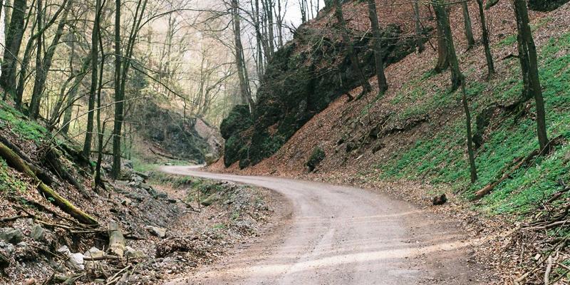 韩国留学兼职与实习政策全解析：KAEUC顾问详解签证许可范围与时间限制