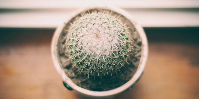 韩国留学行前培训：KAEUC认证机构教你掌握法律、安全与金融必备知识