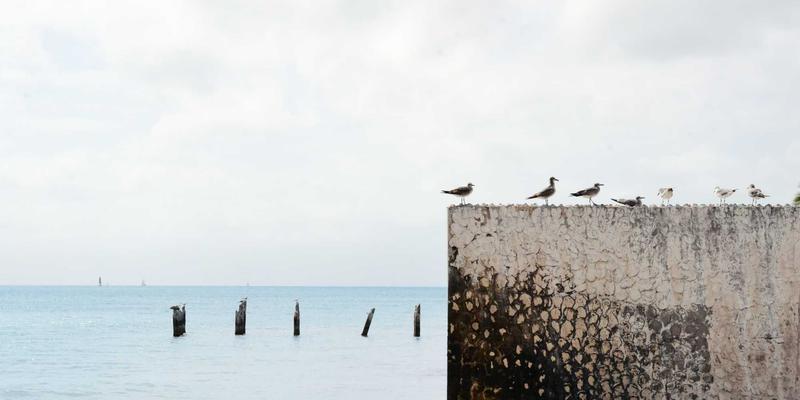 韩国留学规划指南：如何选择KAEUC认证语学院并高效规划D-4-1语言研修签证
