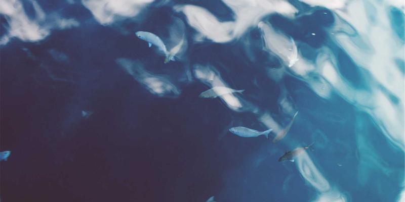 韩国研究生申请制胜关键：KAEUC认证顾问如何打造具有竞争力的研究计划书